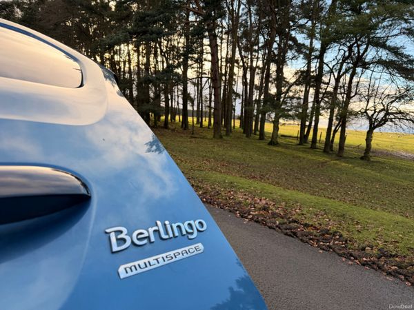 Citroen Berlingo Multispace 2013 380149085