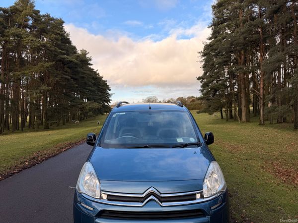 Citroen Berlingo Multispace 2013 380149095