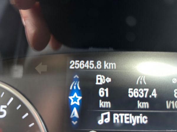 2019 FORD ECOSPORT PETROL ONLY 25,000 KM 382513939