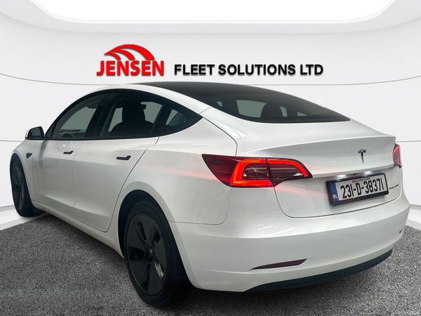 Tesla Model 3 Long Range (AWD) 94% Battery Health 383384817