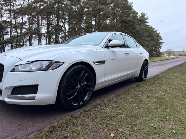 Jaguar XF 2016 Diesel Fuji White Black Wheels 383470137