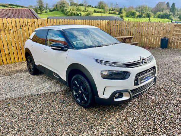 Citroen C4 Cactus 2019 showroom condition 384597369