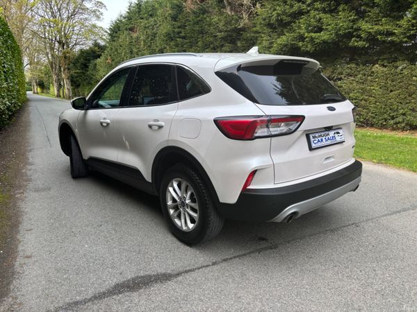 Ford Kuga 2023 384628719