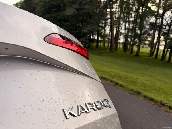 Skoda Karoq 2018 1.6 TDI 389746045