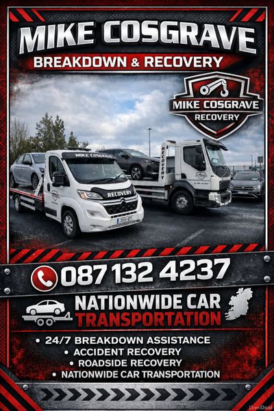 Car transportation  nationwide 389733855