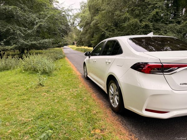 Toyota Corolla 2023 Luna Hybrid 393911605