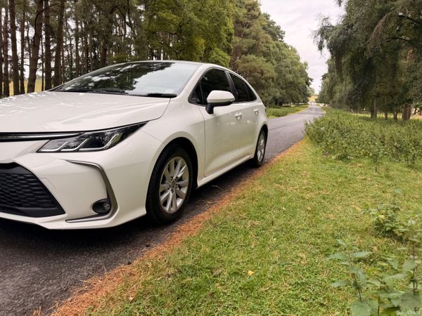 Toyota Corolla 2023 Luna Hybrid 393911607