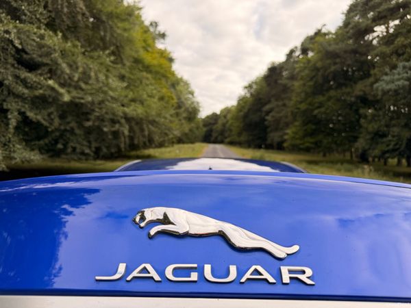 Jaguar XF 2018 R Sport 180BHP 393912689