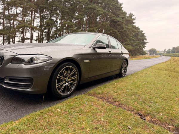 BMW 5-Series 2014 Stunning Car 396610009