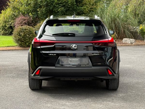 Immaculate 201 Lexus UX250h! 397061655