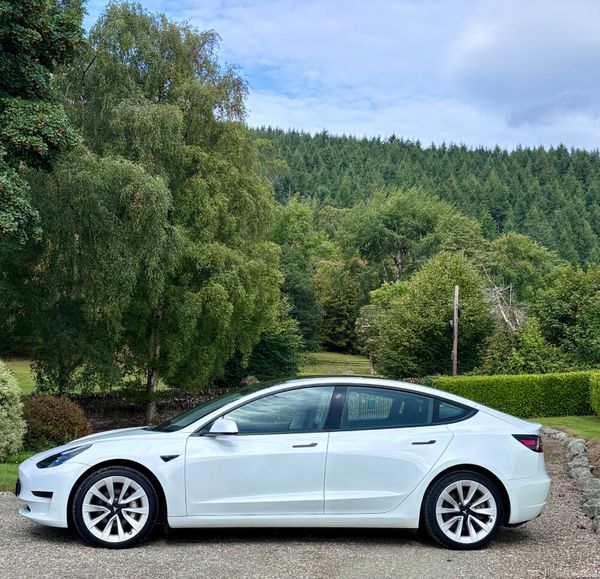 2021 Tesla Model 3 SRP 397125207