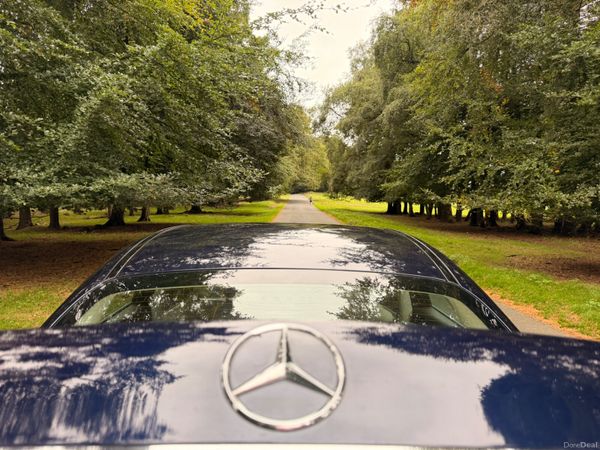 Mercedes-Benz E-Class 2019 Diesel 398339399