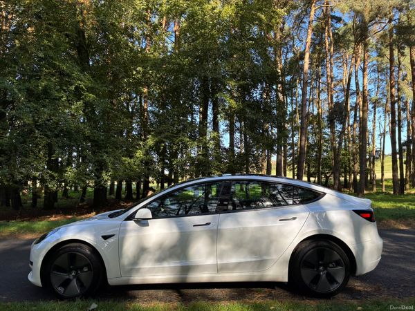 Tesla Model 3 2021 399800003