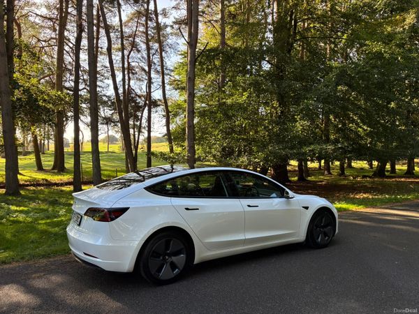 Tesla Model 3 2021 399800011