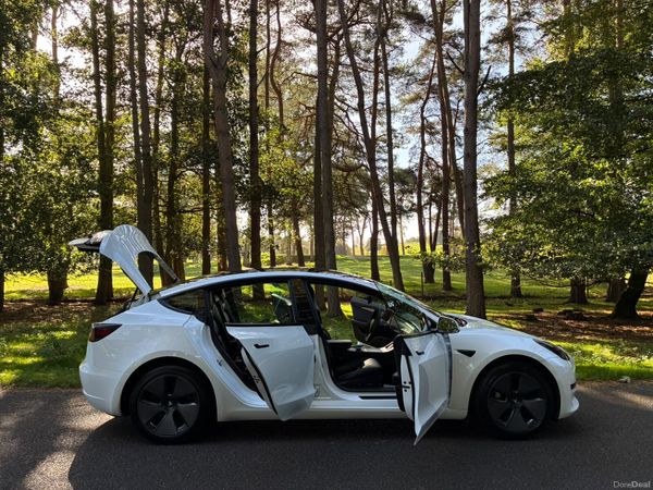 Tesla Model 3 2021 399800037