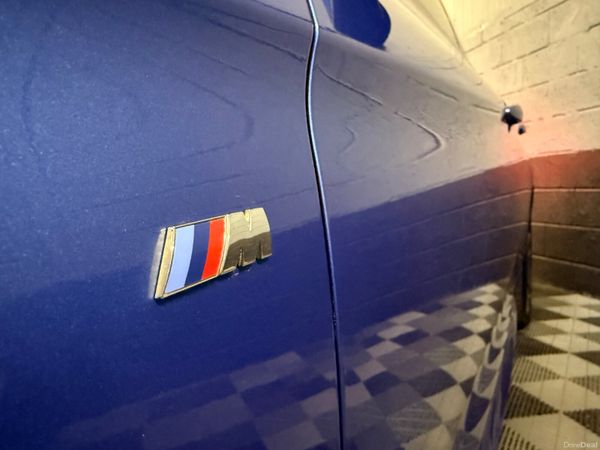 171 BMW 320D GT M-Sport Pro 400476131