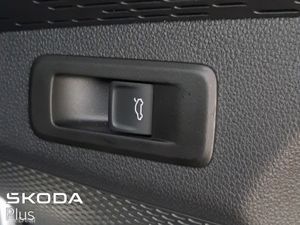 Skoda Octavia **LIMITED EDITION**SPORTLINE**RARE S - Image 4