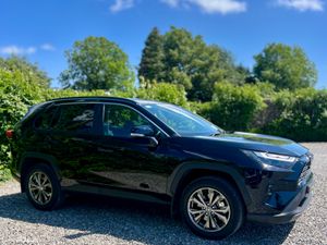 2025 Toyota RAV4 Platinum 2.5 Hybrid 2WD Automatic - Image 3