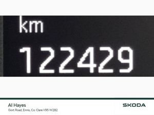 Skoda Karoq **REVERSING CAMERA**AMBITION**1.6TDI 1 - Image 4
