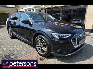 Audi e-tron TECHNIK 50 QUATTRO AUTOMATIC - Image 3