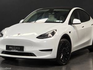 23 Model Y lfp - Image 4