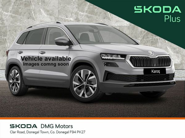 Skoda Karoq Estate, Diesel, 2024, Grey