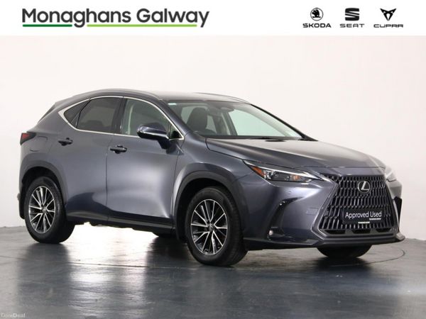 Lexus NX MPV, Petrol Plug-in Hybrid, 2023, Grey