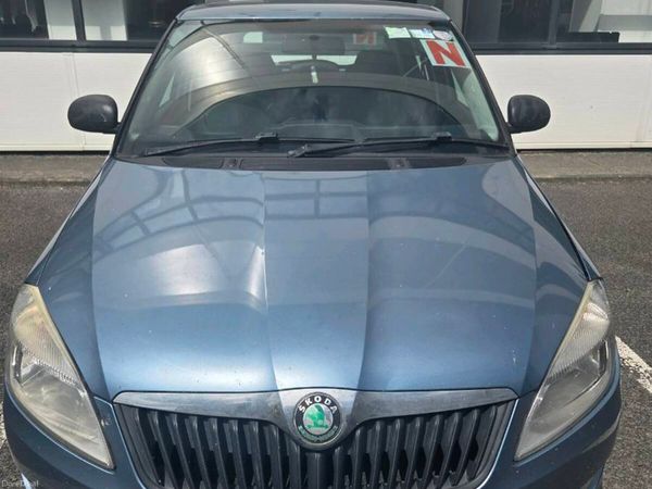 Skoda Fabia Hatchback, Petrol, 2010, Grey