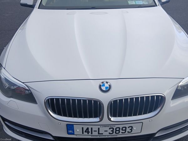BMW 5-Series Saloon, Diesel, 2014, White