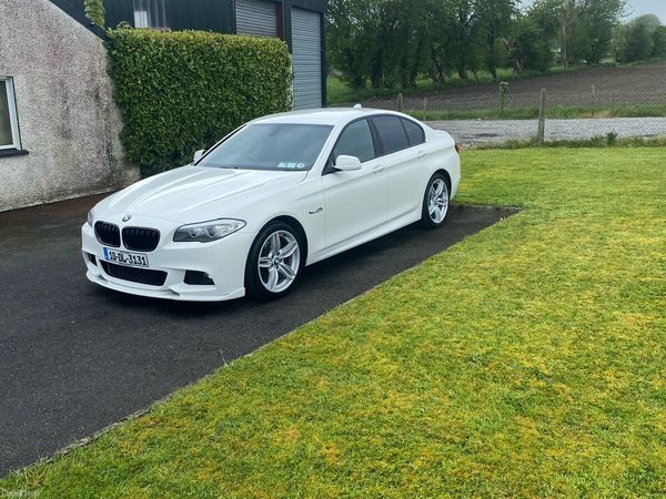 BMW 5-Series Saloon, Diesel, 2010, White