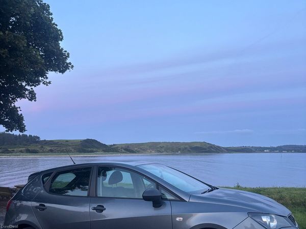 SEAT Ibiza Hatchback, Diesel, 2013, Grey