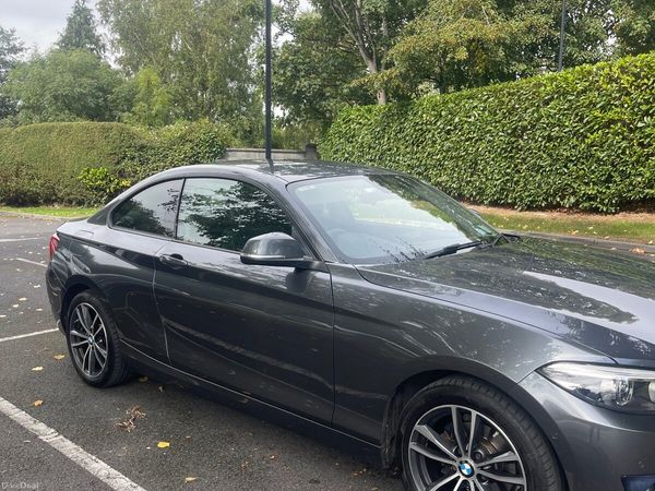 BMW 2-Series Coupe, Petrol, 2020, Grey