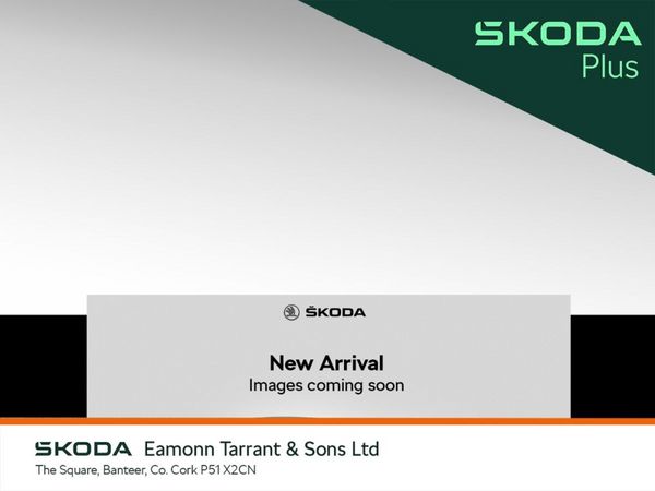 Skoda Kodiaq SUV, Diesel, 2024, Grey