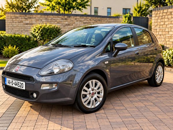 Fiat Punto Hatchback, Petrol, 2014, Grey