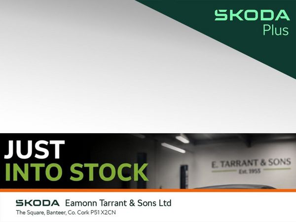Skoda Enyaq Estate, Electric, 2026, Grey