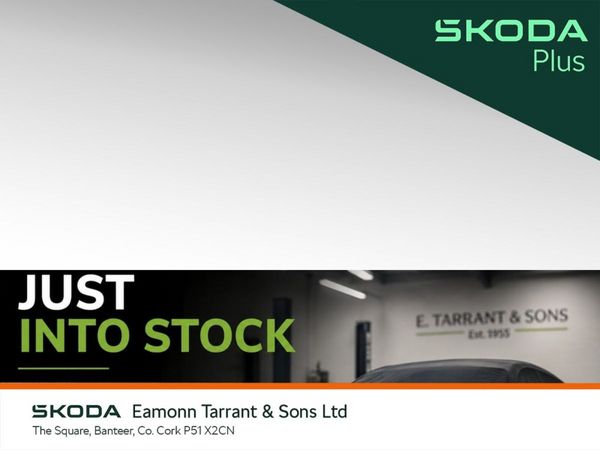 Skoda Kamiq Hatchback, Petrol, 2023, Grey