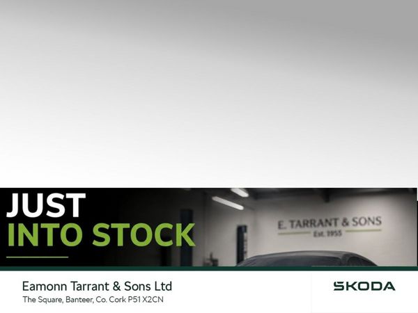 Skoda Enyaq Estate, Electric, 2023, Grey