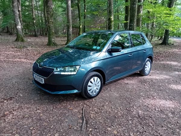 Skoda Fabia Hatchback, Petrol, 2019, Grey
