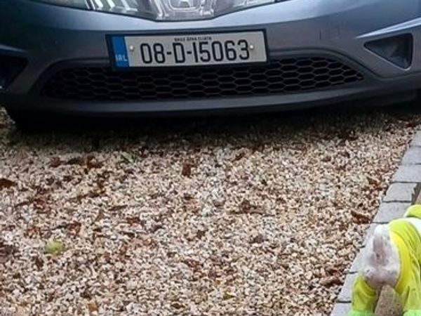 Honda Civic Hatchback, Petrol, 2008, Silver