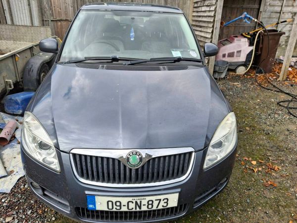 Skoda Fabia Hatchback, Petrol, 2009, Grey