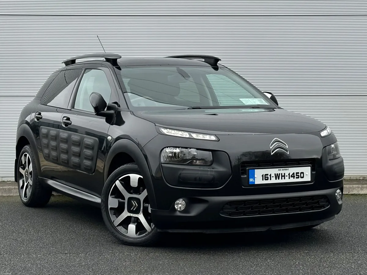 Citreon Cactus - Image 1
