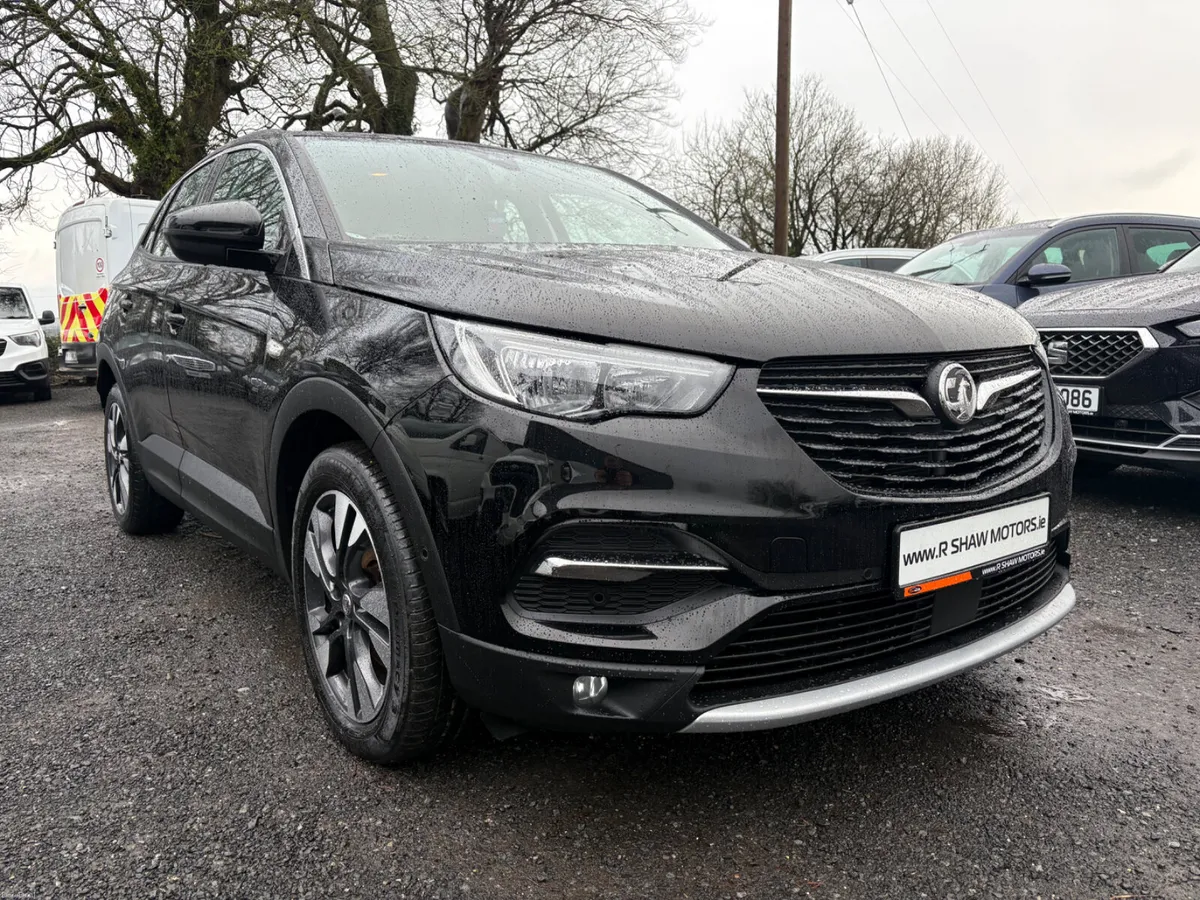 Vauxhall Grandland X - Image 2