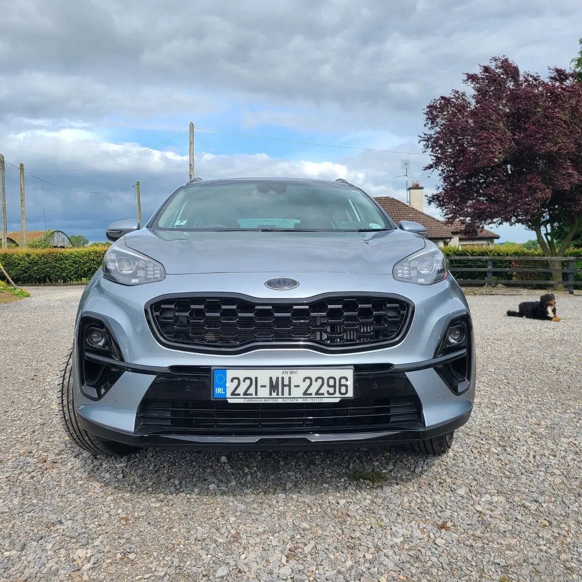 Kia Sportage 2022 - Image 2