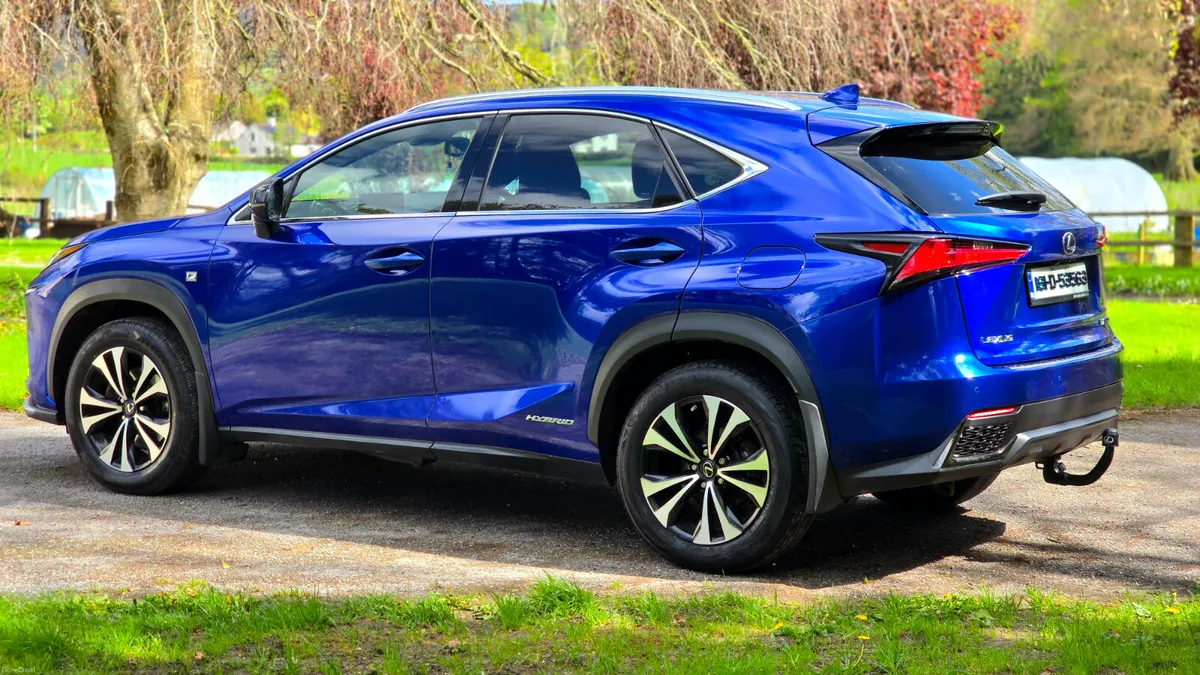 2018 Lexus NX300h 4WD  F SPORT - Image 4
