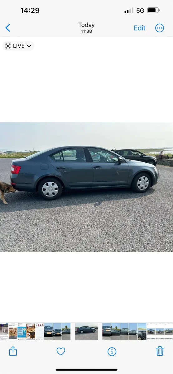 2016 Skoda Octavia 1.6 Diesel NÇT 08-27 NEW PRICE - Image 4