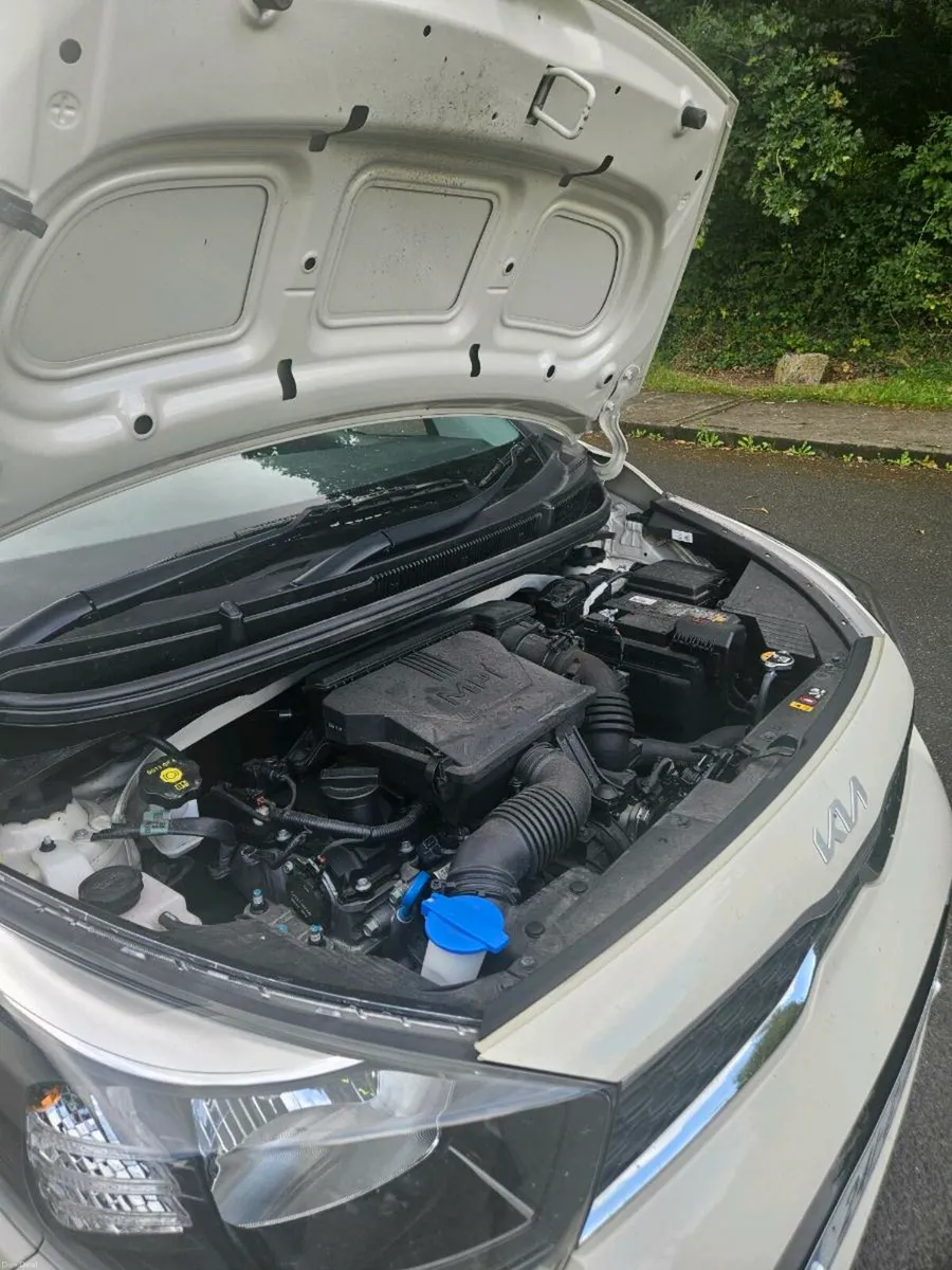 Kia Picanto 2024 - Lowest Price for Quick Sale - Image 4