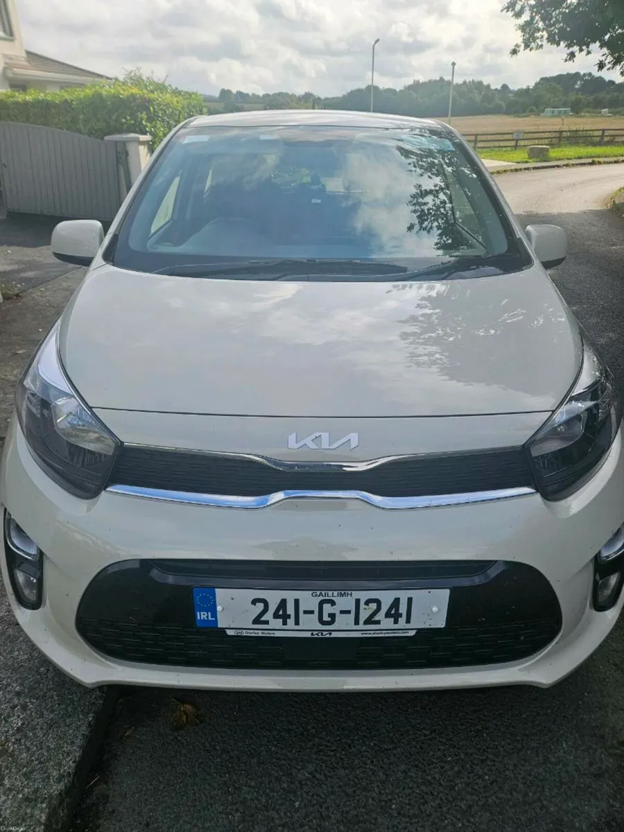 Kia Picanto 2024 - Lowest Price for Quick Sale - Image 1