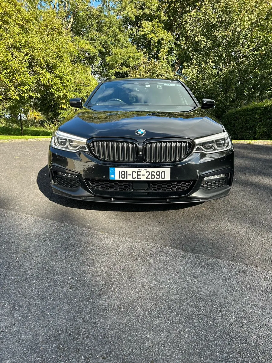BMW 530d Xdrive - Image 2