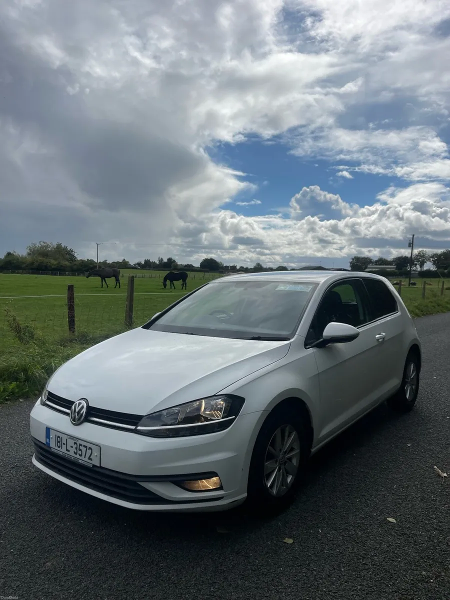 2018 Volkswagen Golf Van - Image 3