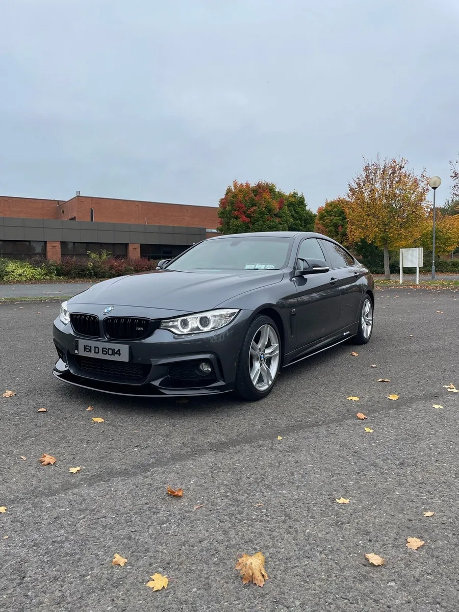 BMW 420d - Image 2